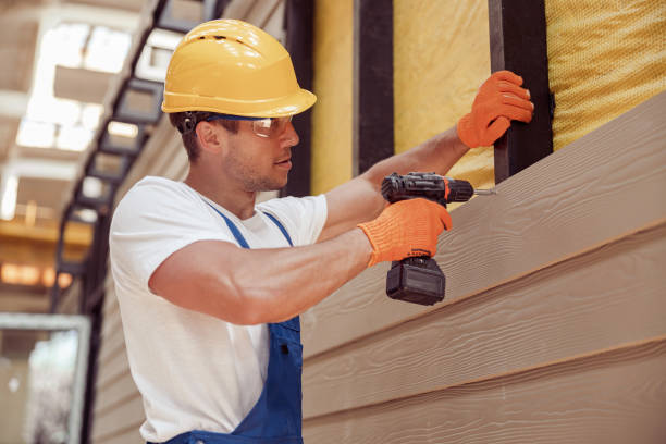 Best Custom Siding Design  in Verona, KY